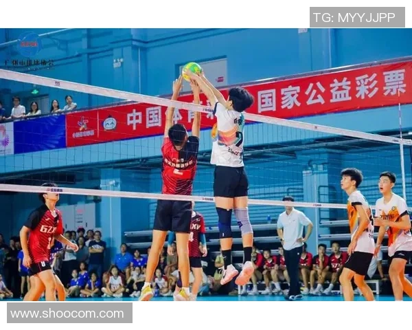 广州排球队在世界杯预选赛中的拼搏历程与荣耀追寻