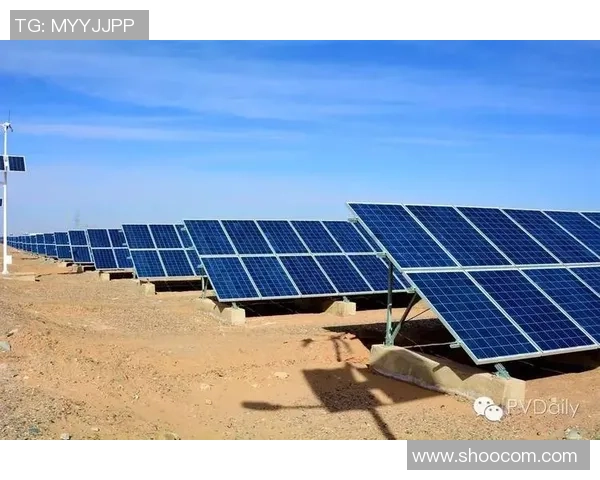 西安攀岩队创新防反策略助力竞技水平提升与安全保障