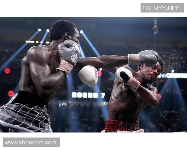 奎奥与莫斯利的巅峰对决谁能在拳坛称王争霸赛中胜出