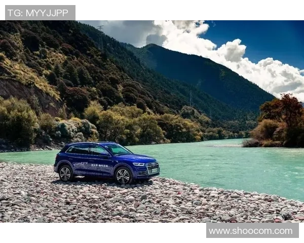 张帆：在风云变幻的时代中探索人生的无限可能与梦想追寻